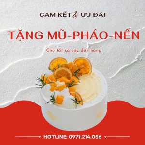 Cam Kết Và Ưu Đãi Ở Tiệm Bánh Kem Huyện An Biên Kiên Giang